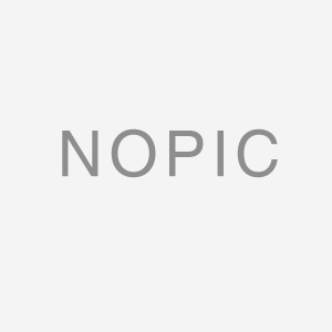 承試五級配置表